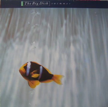 The Big Dish : Swimmer (LP, Album)