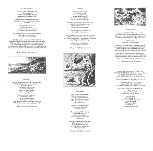 Big Country : The Crossing (LP, Album, Blu)