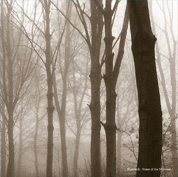 Blueneck : Scars Of The Midwest (LP, Album, Ltd, Cle)