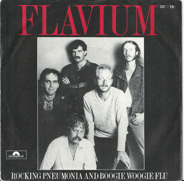 Flavium : Rocking Pneumonia And The Boogie Woogie Flu (7")