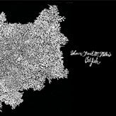 Shawn McMillen : Catfish (LP)