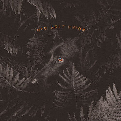 Old Salt Union : Where The Dogs Don't Bite (CD, Album)