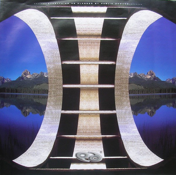 Public Demand : Invisible (12")