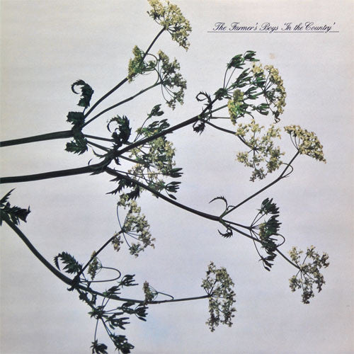 The Farmer's Boys : In The Country (12", Single)