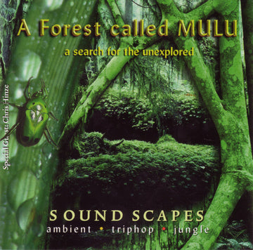 A Forest Called Mulu : A Search For The Unexplored (CD, Album, Mixed)