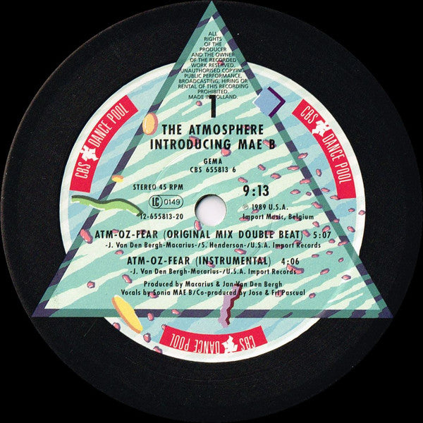 The Atmosphere* Introducing Mae B : Atm-Oz-Fear (12", Maxi)