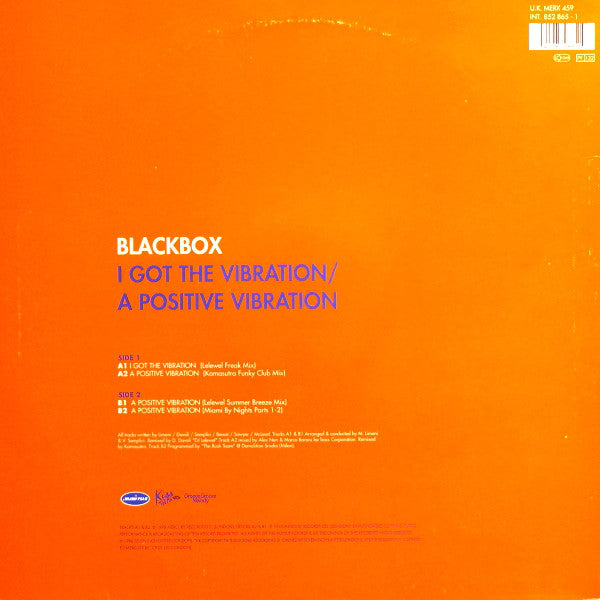 Black Box : I Got The Vibration / A Positive Vibration (12")