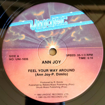 Ann Joy / Plastic Surprise : Feel Your Way Around / Disco Express (12")