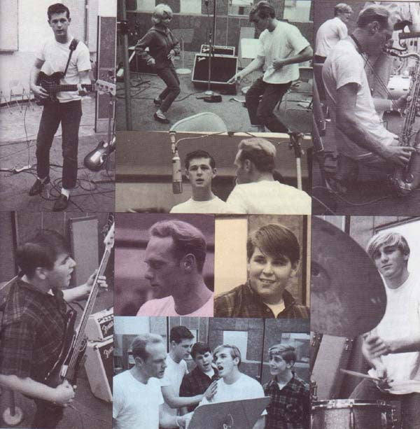 The Beach Boys : Surfin' Safari & Surfin' USA (CD, Comp, RE, RM)