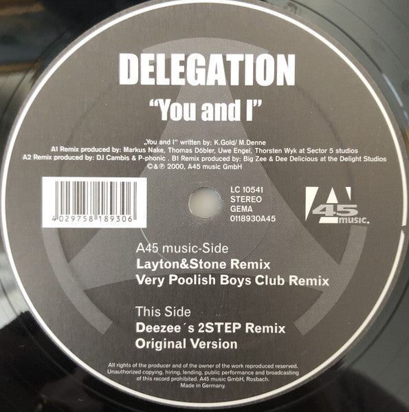 Delegation : You And I (12")