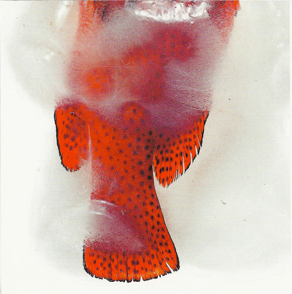 Felix : #1 (CD, Album)