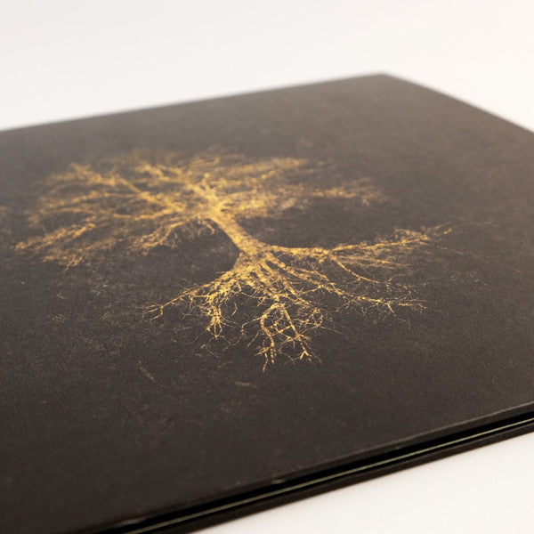 Astodan : Bathala (2xLP, Album, Ltd, Bla)