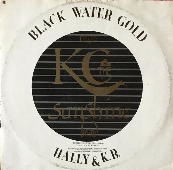 Hally & Kongo Band : Party (12")