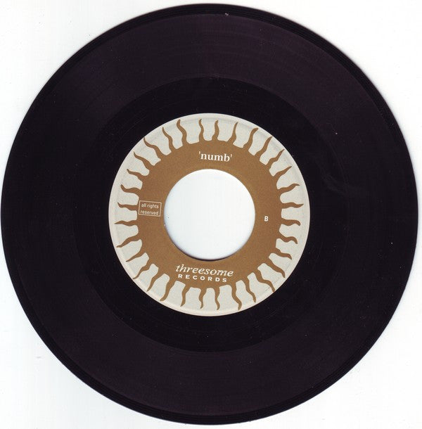 Steadfast : Homeiswheretheheartdies (7")