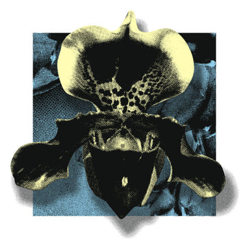 Various : Nowhere02 - Vinyl Sampler (12", Ltd, Smplr)