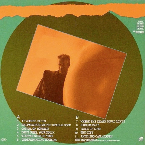 Bruce Cockburn : Big Circumstance (LP, Album)