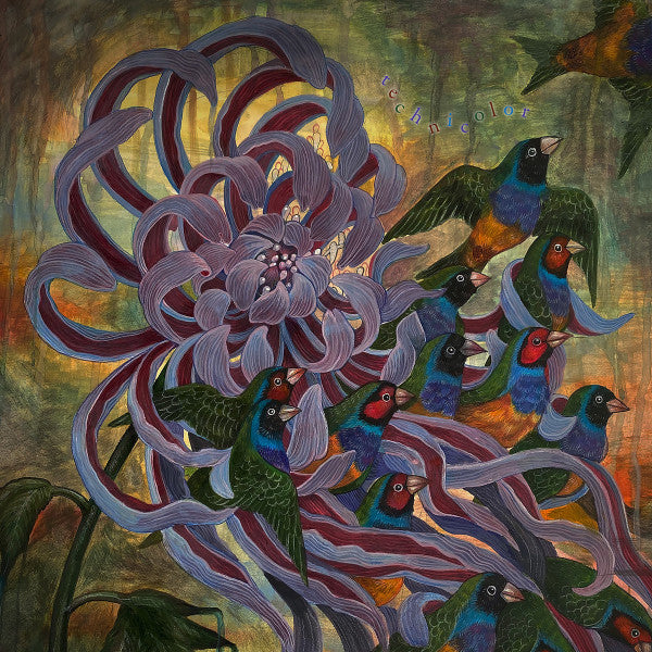 Covet : Technicolor (LP, Album, Pur)