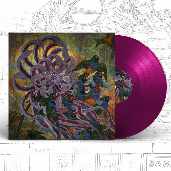 Covet : Technicolor (LP, Album, Pur)