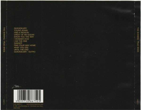 The Shining (3) : True Skies (CD, Album)