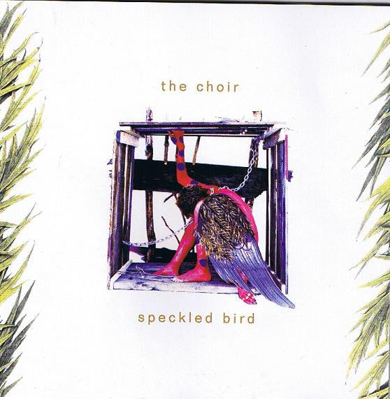 The Choir (2) : Speckled Bird (CD, Album)