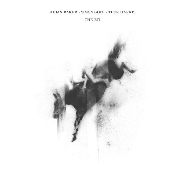 Aidan Baker • Simon Goff • Thor Harris : The Bit (LP, Album, Ltd)