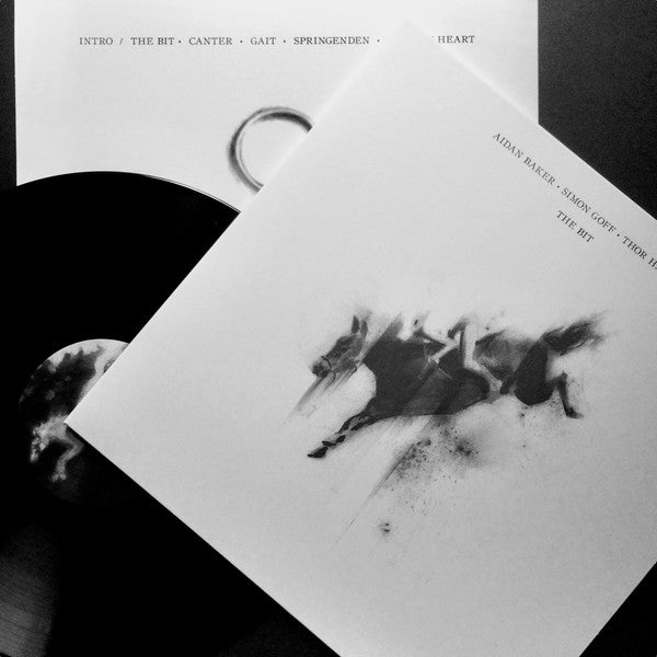 Aidan Baker • Simon Goff • Thor Harris : The Bit (LP, Album, Ltd)