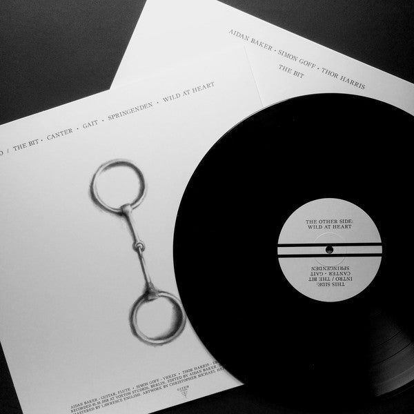 Aidan Baker • Simon Goff • Thor Harris : The Bit (LP, Album, Ltd)