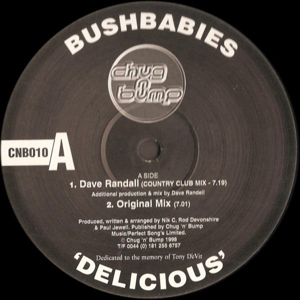 Bush Babies : Delicious (12")