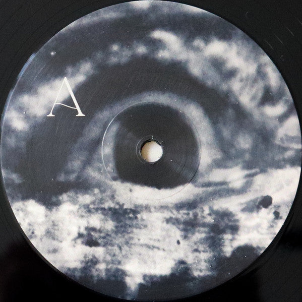 Anna von Hausswolff : All Thoughts Fly (LP, Album)