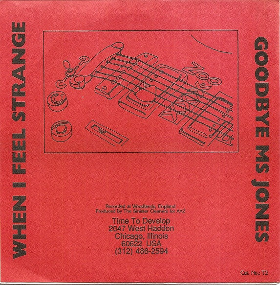 The Sinister Cleaners : Goodbye Ms Jones / When I Feel Strange (7")