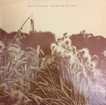 Eyeless In Gaza : Back From The Rains (LP, Album)