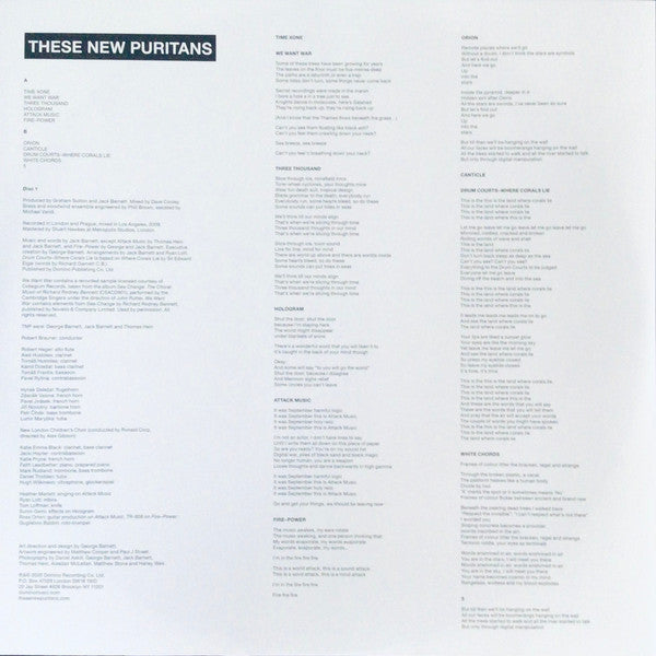 These New Puritans : Hidden [MMXX] (2xLP, Album, RE, 10t)