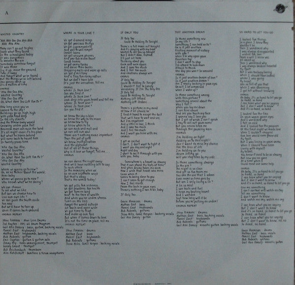 Gail Ann Dorsey : The Corporate World (LP, Album)