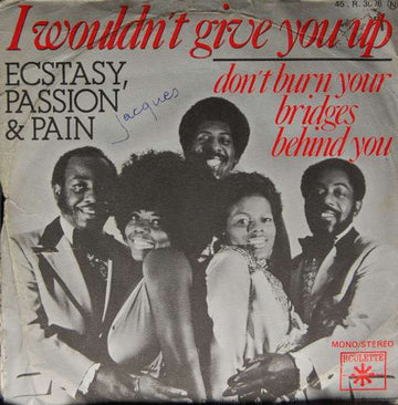 Ecstasy, Passion & Pain : I Wouldn't Give You Up (7", Single)