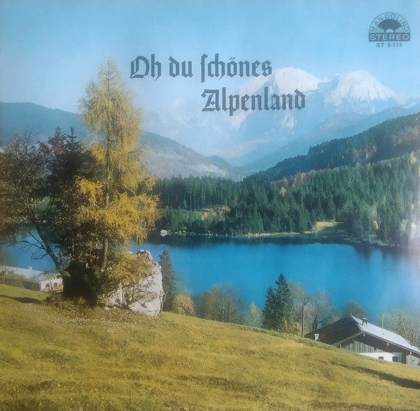Die Steirischen Heimatsänger : Oh Du Schönes Alpenland (LP)