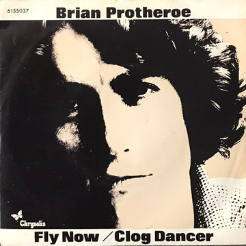 Brian Protheroe : Fly Now (7", Single)