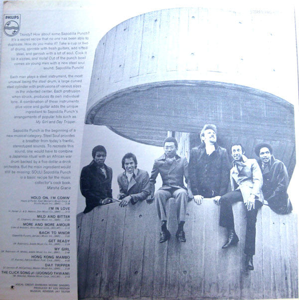 Sapodilla Punch : Steel Soul (LP)