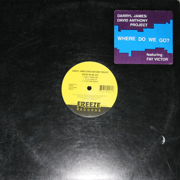 Darryl James/David Anthony Project* Featuring Fay Victor : Where Do We Go? (12")