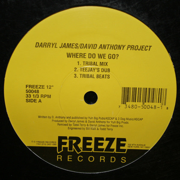 Darryl James/David Anthony Project* Featuring Fay Victor : Where Do We Go? (12")