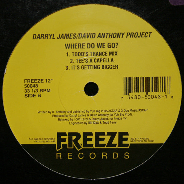 Darryl James/David Anthony Project* Featuring Fay Victor : Where Do We Go? (12")