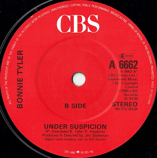 Bonnie Tyler Duet With Todd Rundgren : Loving You's A Dirty Job But Somebody's Gotta Do It (7", Single)