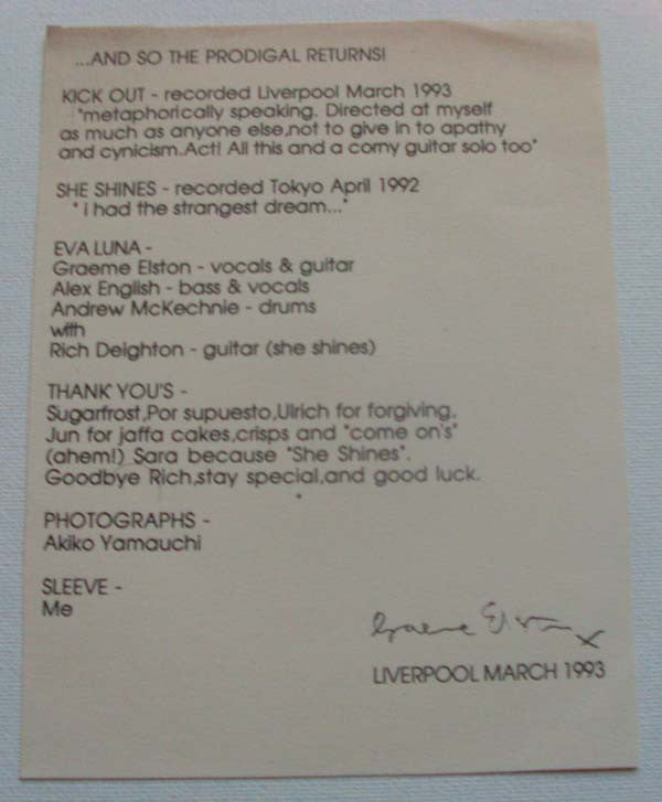 Eva Luna (2) : Kick Out (At The Things You Hate) (7", Single)