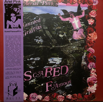 Ariel Pink's Haunted Graffiti : Scared Famous/FF>> (2xLP, Album, RE, RM)