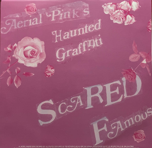 Ariel Pink's Haunted Graffiti : Scared Famous/FF>> (2xLP, Album, RE, RM)