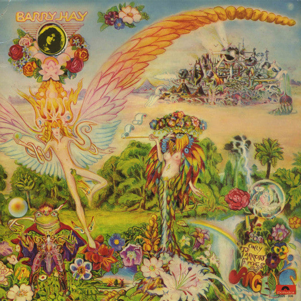 Barry Hay : Only Parrots, Frogs And Angels (LP, Album)