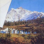 Empire Cheese : Efficient Use Of Space (7", EP)