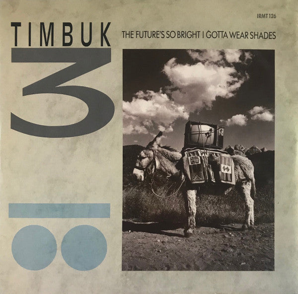 Timbuk 3 : The Future's So Bright, I Gotta Wear Shades (12")