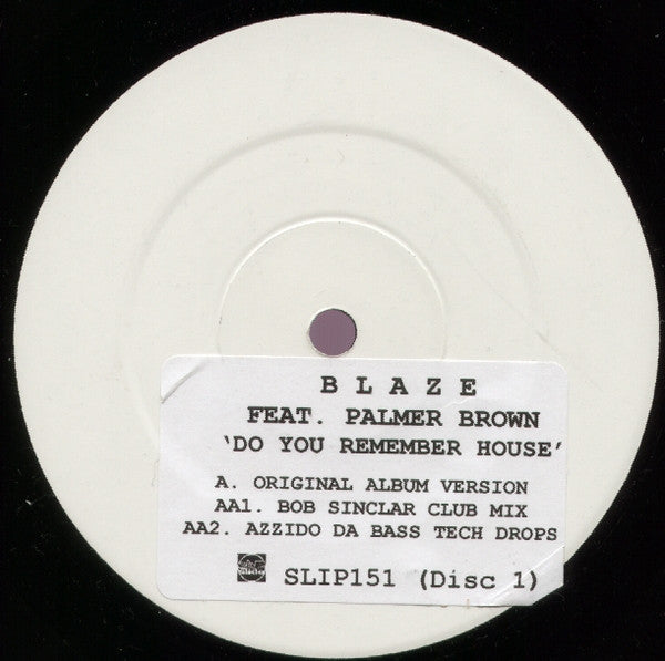 Blaze Feat. Palmer Brown : Do You Remember House? (Part 1) (12", Promo)