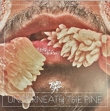 Toro Y Moi : Underneath The Pine (LP, Album, Ltd, RE, RP, Cle)