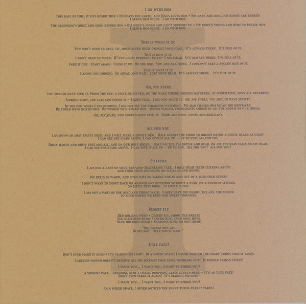 Nina Nastasia : The Blackened Air (LP, Album)